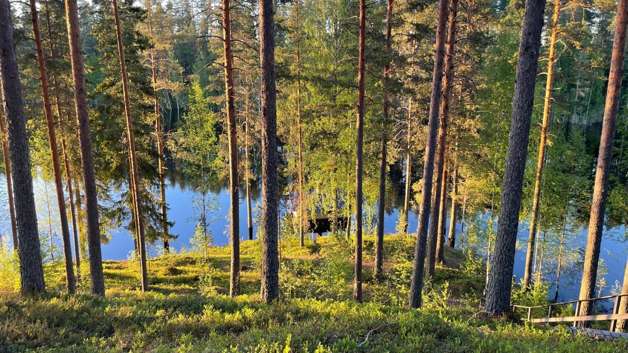 Ahvenlampi Camping Saarijärvi Dış mekan fotoğraf