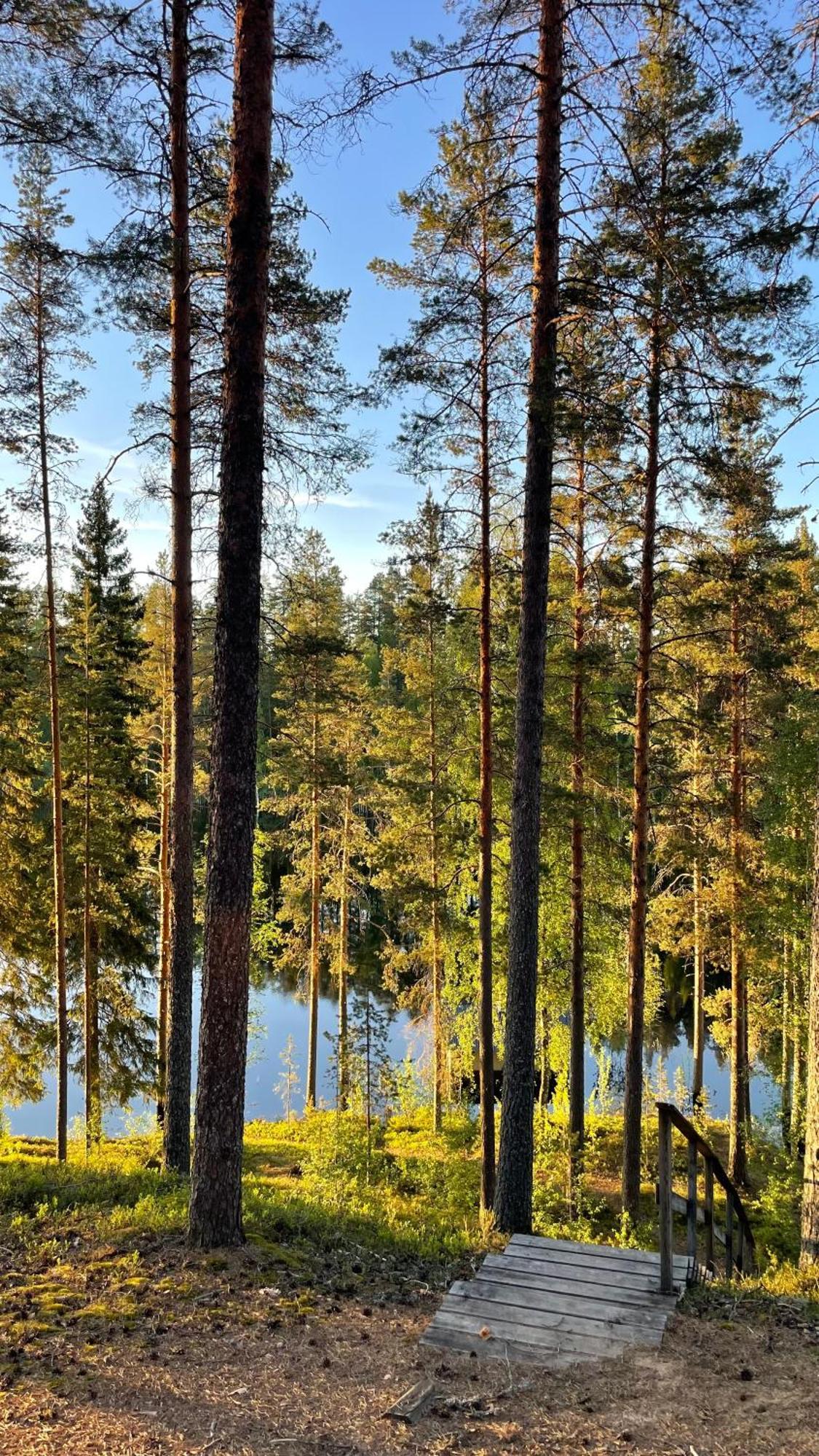 Ahvenlampi Camping Saarijärvi Dış mekan fotoğraf