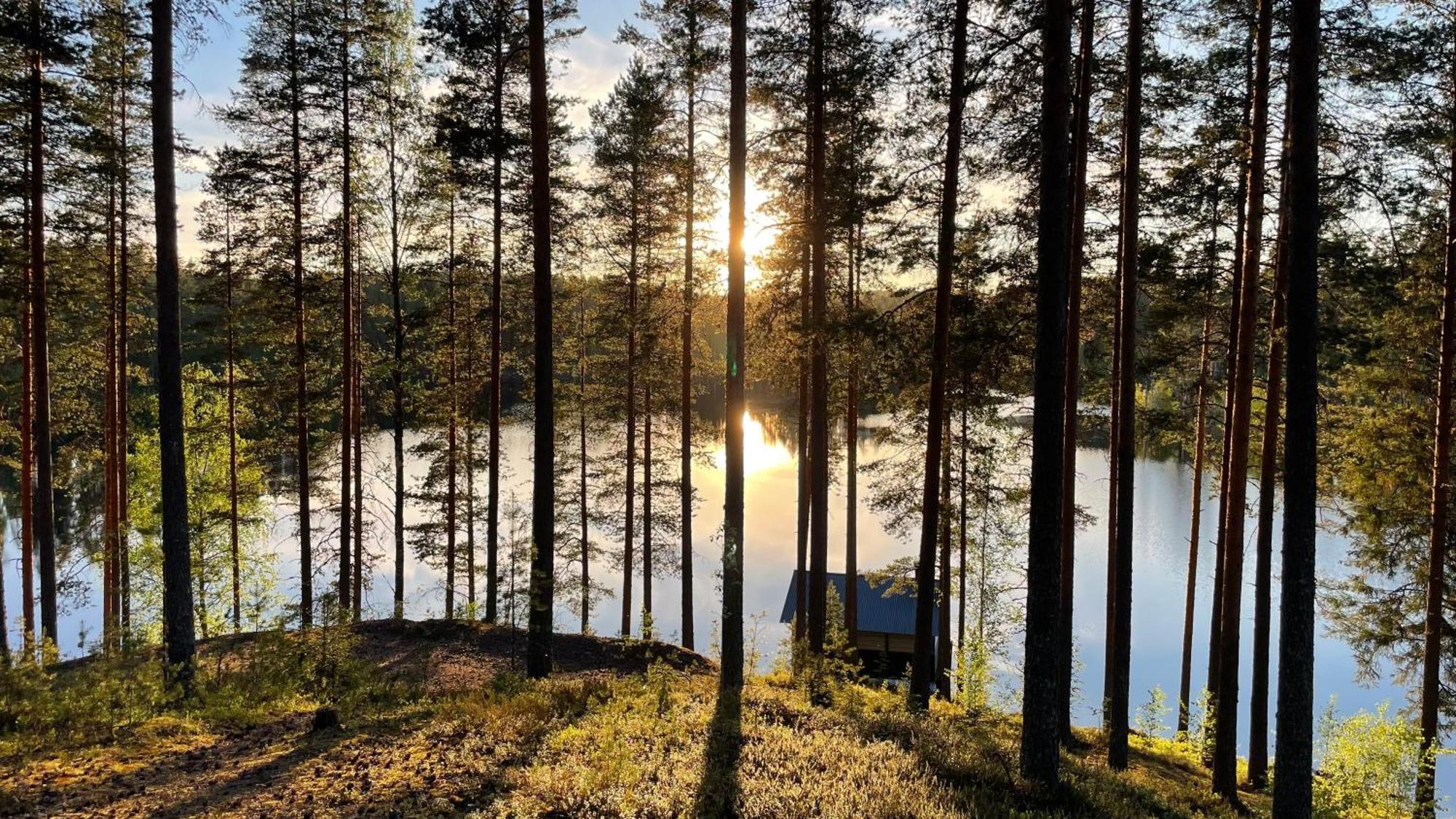 Ahvenlampi Camping Saarijärvi Dış mekan fotoğraf