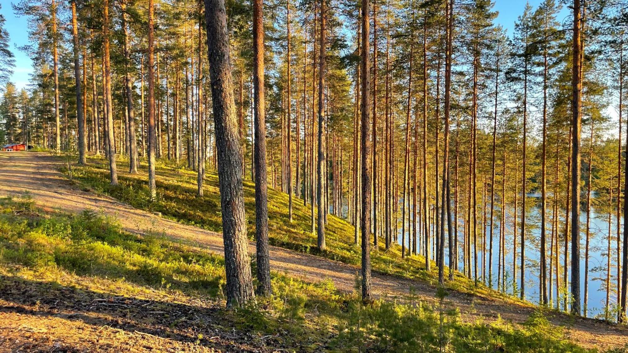 Ahvenlampi Camping Saarijärvi Dış mekan fotoğraf