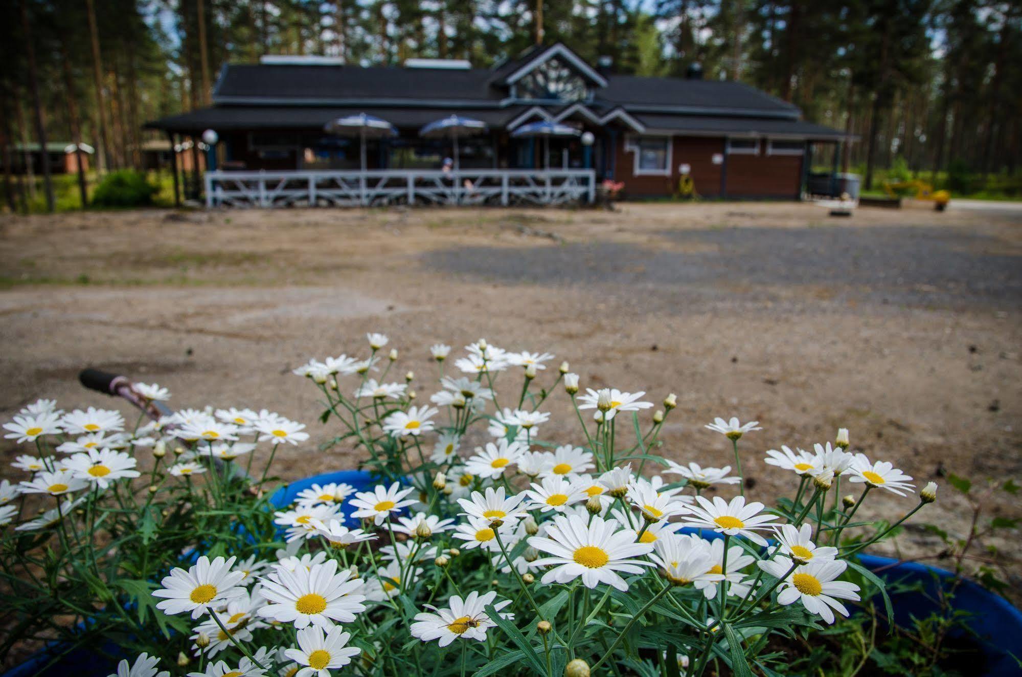 Ahvenlampi Camping Saarijärvi Dış mekan fotoğraf